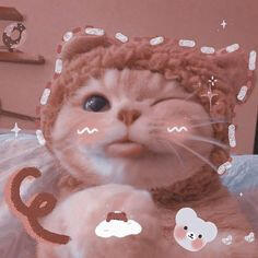 cat 6